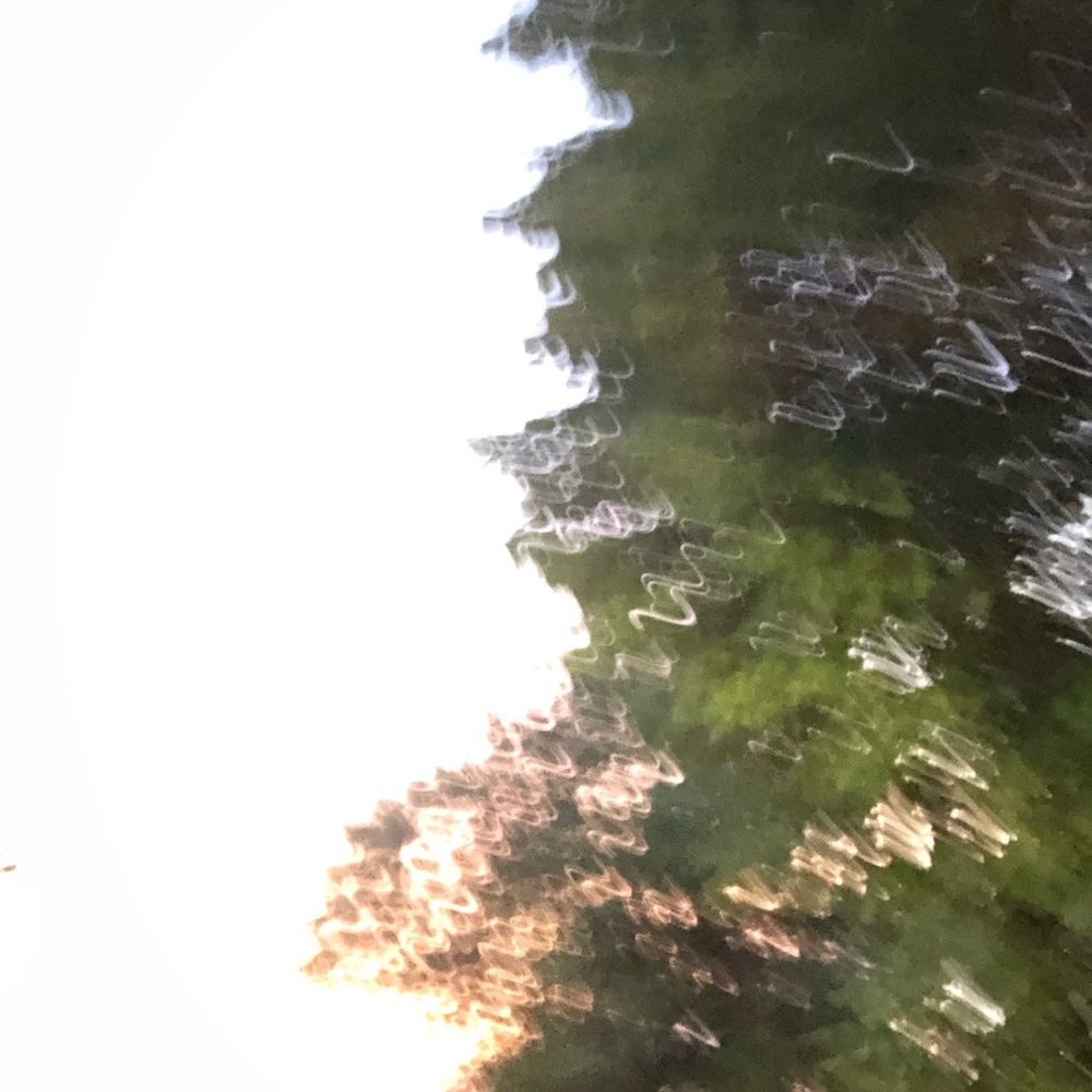 Meet your Posher, Lina